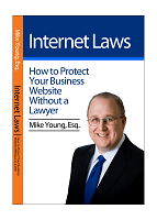 Internet Laws Book Cover