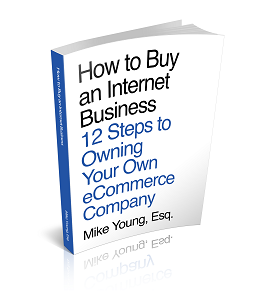 buy an internet business