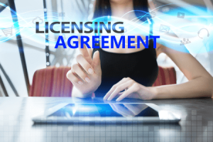 Protect Your Intellectual Property With The Right Software License Agreement