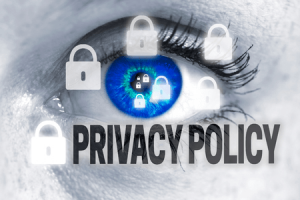 Privacy Policy 101: What Every Website Owner Should Know