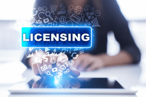 business system licensing agreement