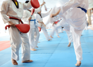 Texas Martial Arts Contract Agreement And Health Spa Act Compliance